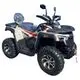Квадроцикл Racer Ranger 250 (мотокомплект) 