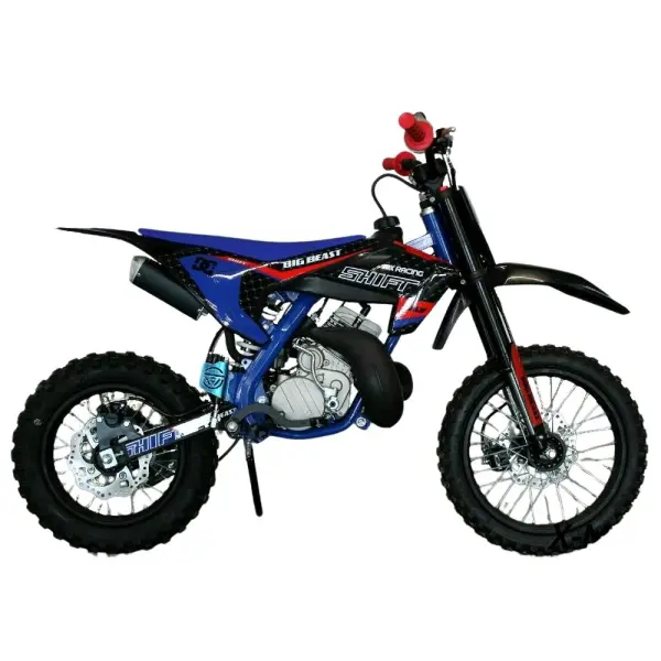 Питбайк RACER TM 50cc 