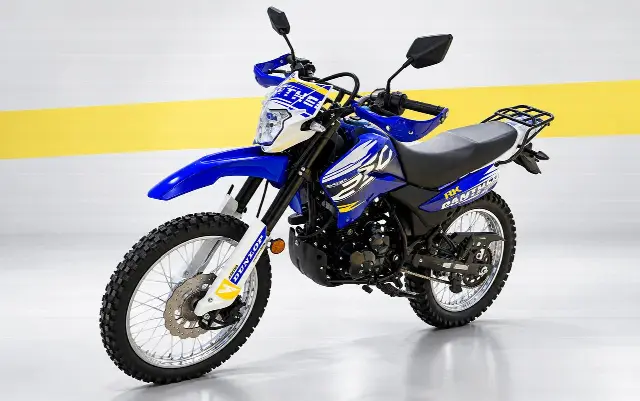 Мотоцикл Racer RC250GY-C2 Panther: подробный обзор